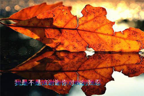 阳光总在风雨后作文结尾