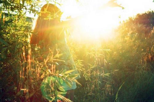 太子妃是朵黑莲花月璃楚宇皓 太子妃是朵黑莲花全文阅读