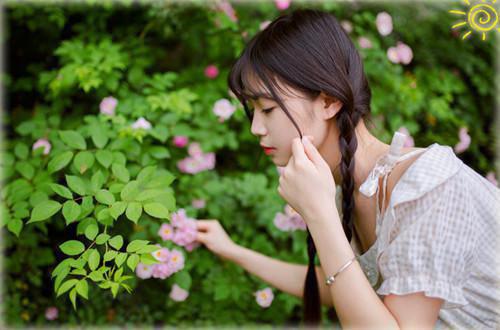 过着像小强一样的日子小说全本完结版免费阅读