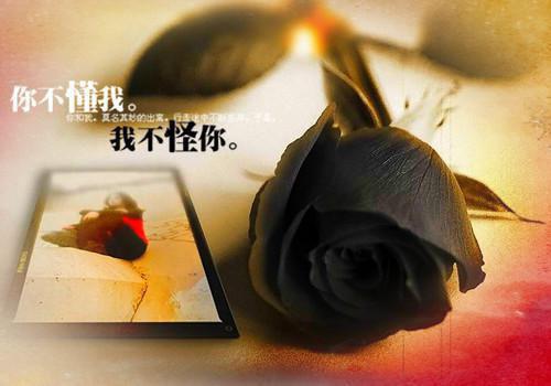 著名文章读后感