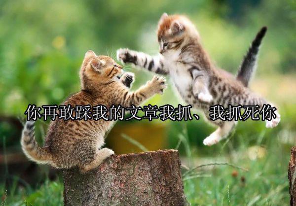 八零小娇娇一笑，冷面军少弯了腰小说（苏玥）全文免费阅读无弹窗大结局_苏玥小说最新章节列表