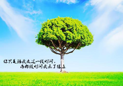免费小说宋襄皱着眉从睡梦中醒来by在逃兔子完结版阅读
