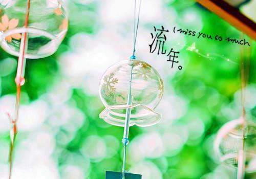 莫林轩顾锦小说 顾锦莫林轩免费阅读