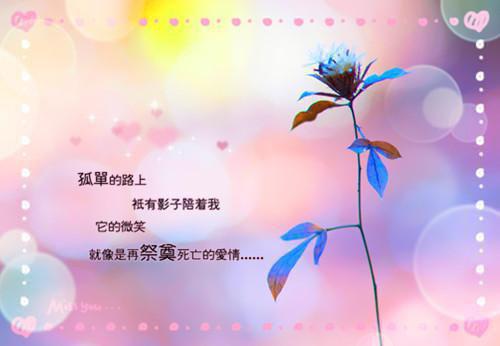 关于我的心愿的作文