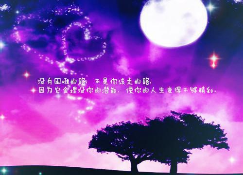 全本小说鸾凤钗褚念夕南宫霈全文免费阅读
