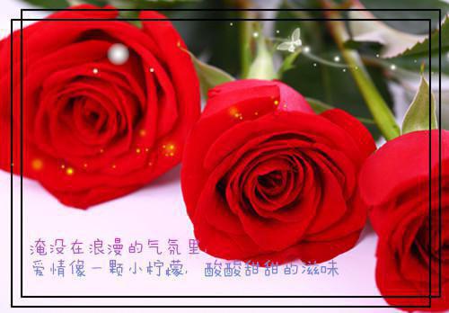 帝少萌妻苏语曼司立轩 帝少萌妻南十七全文阅读