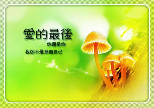 新上小说别碰她？那就碰你易星球人最新章节阅读