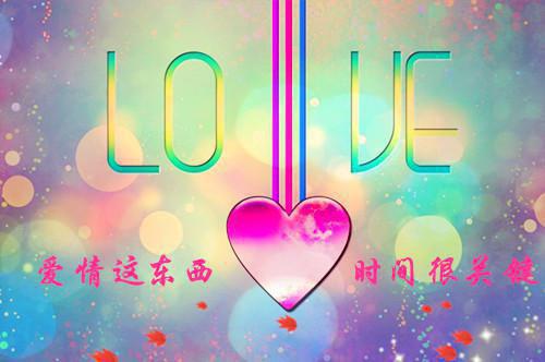 《挚野》在线阅读《程歆张豪》最新章节目录
