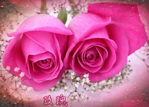 一胎七宝：总裁爹地你别跑青木全文小说免费阅读